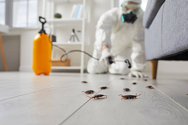 Commercial Kitchen Cockroach Control in Henryetta